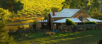 Hutton Vale Farm Cellar Door 1