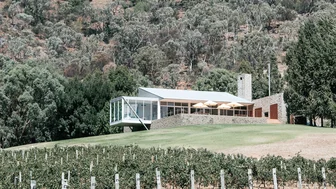 Logan Wines