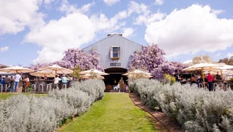 Lowe Wines Cellar Door