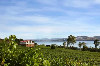 Marion’s Cellar Door