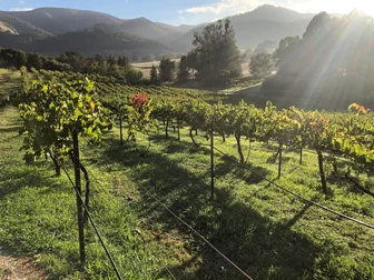 Martins Hill Cellar Door