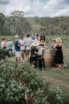 Molly Morgan Cellar Door