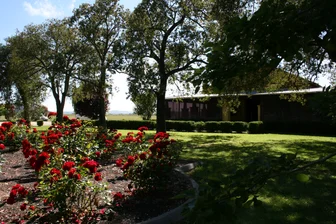 Mudgee Wines Cellar Door