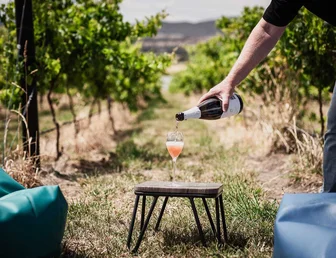 Nocton Vineyard Cellar Door