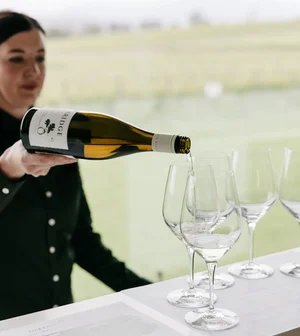 Oakridge Cellar Door