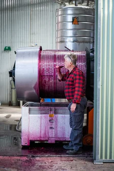 Orange Mountain Cellar Door