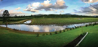 Pangallo Cellar Door