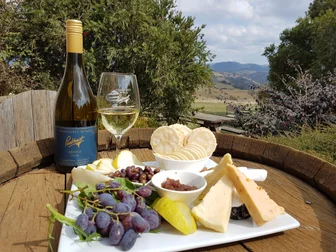 Pankhurst Cellar Door