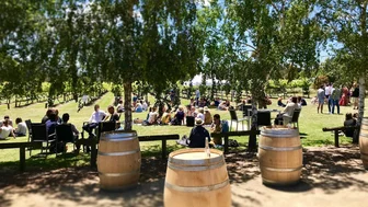 Phaedrus Cellar Door