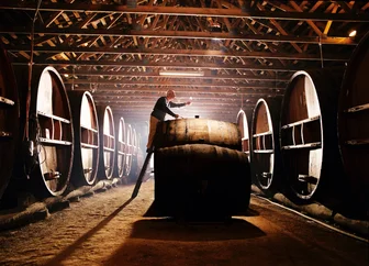 Pieter Van Gent Cellar Door