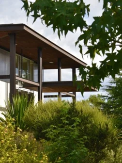 Pimpernel Cellar Door