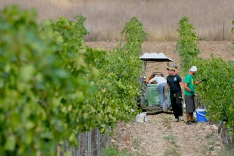 Reedy Creek Cellar Door