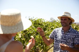 Rosnay Organic Cellar Door