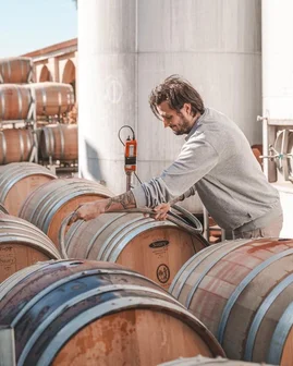 Scarpantoni Cellar Door