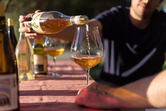 Somos Wines Cellar Door 3