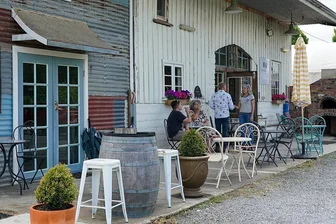 Swinging Gate Cellar Door