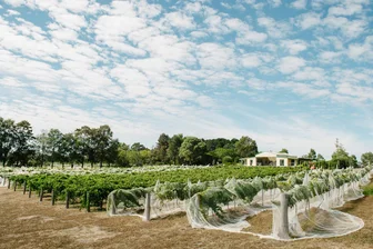 The Vintner's Daughter Cellar Door