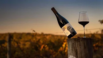 Walsh & Sons Cellar Door