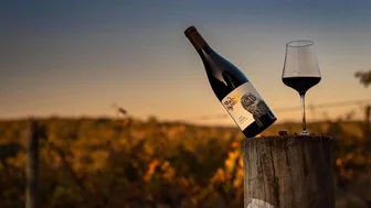 Walsh & Sons Cellar Door