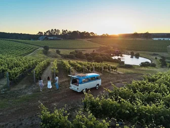 Wills Domain Cellar Door