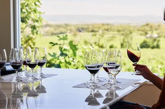 Yarra Yering Cellar Door 1