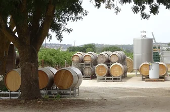 Yelland and Papps Cellar Door