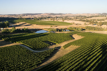 canberra wine region collector wines